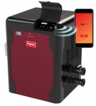 RAYPAK AVIA 264K Low NOx Nitek Propane Gas Heater WIFI 0-4500 Ft