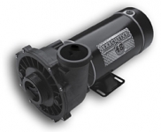Waterway Spa Pump Executive 48 Frame 1HP Single Speed 2 in. 115V