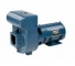 D Series Commercial Pump- 3 HP-230V-1.5 in. Port-Single Phase