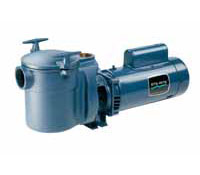 CF Series Commercial Pump w/ 5 in. Strainer- .75 HP-115/230V-Up Rated-Single Speed