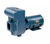 D Series Commercial Pump- 3 HP-230/460V-1.5 in. Port-Three Phase